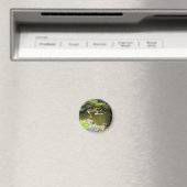 SF Japans Tea Garden Koi Pond #1 Magnet (Insitu (Vaatwasser))