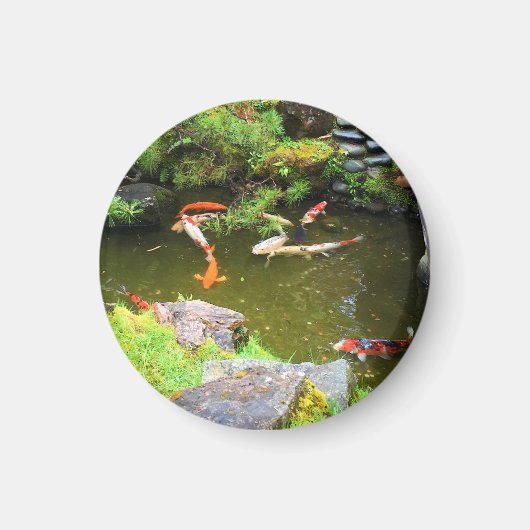 SF Japans Tea Garden Koi Pond #1 Magnet (Voorkant)