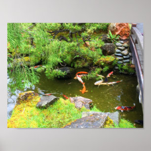 SF Japanse Tea Garden Koi Pond #3 Poster