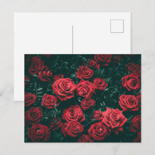 Sfeervol donkerrood rozen bloempatroon achtergrond briefkaart