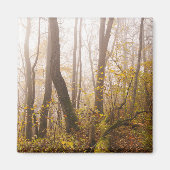 Sfeervol herfstbos in mist, foto magneet (Voorkant)