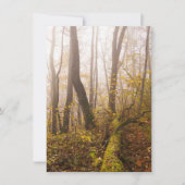 Sfeervol herfstbos in nevel feestdagenkaart (Voorkant)