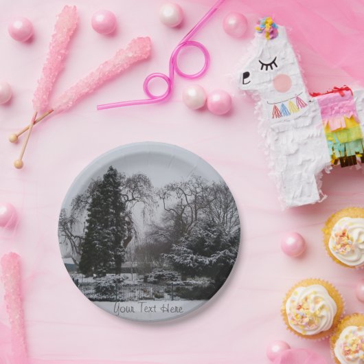 Sfeervol sneeuwlandschap met Kerstmis Papieren Bordje (Feest)