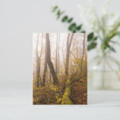 Sfeervolle herfstbos in nevel briefkaart (Staand voorkant)