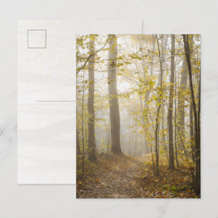Sfeervolle herfstpark in nevel briefkaart