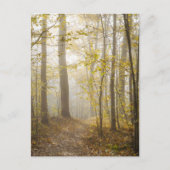 Sfeervolle herfstpark in nevel briefkaart (Voorkant)