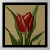 Sfeervolle Rode Tulp  Poster (Voorkant)