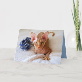 Sfinxkat met blauwe tinsel Kaart