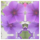 Sforza Stof (Close Up)