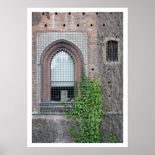 Sforza Window Detail Poster (Voorkant)