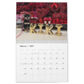 SFShiba 2026 Agenda Kalender (Feb 2027)