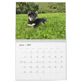 SFShiba 2026 Calendar Kalender (Mar 2027)