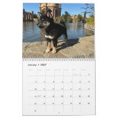 SFShiba 2026 Calendar Kalender (Jan 2027)