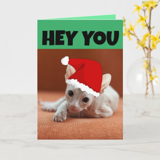 SFYNX HAARLOZE KAT KITTEN KERST KAART (Gele Bloem)