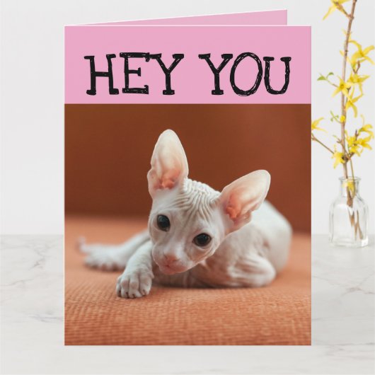 SFYNX HAARLOZE KAT KITTEN VERJAARDAG WENSKAART KAART (Gele Bloem)