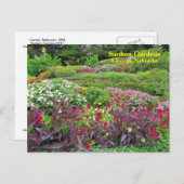 SG Landschap Briefkaart #170N 0170 (Voorkant / Achterkant)