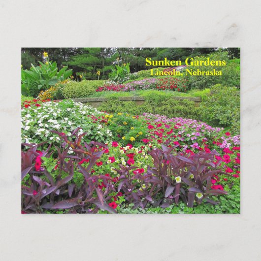 SG Landschap Briefkaart #170N 0170 (Voorkant)