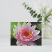 SG Lincoln, Nebraska roze waterlelie #1 01 Briefkaart (Staand voorkant)