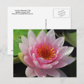 SG Lincoln, Nebraska roze waterlelie #1 01 Briefkaart (Voorkant / Achterkant)