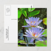 SG Paar van BLUE-waterlelies #101 00101 Briefkaart (Voorkant / Achterkant)