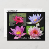 SG Waterlily Collage Briefkaart #1N 1100 (Voorkant / Achterkant)