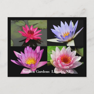 SG Waterlily Collage Briefkaart #1N 1100