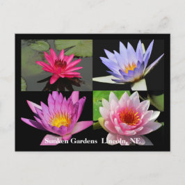 SG Waterlily Collage Briefkaart #1N 1100