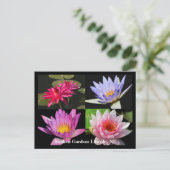 SG Waterlily Collage Briefkaart #6NW 600 (Staand voorkant)