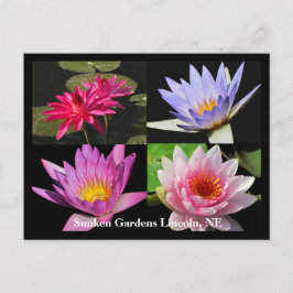 SG Waterlily Collage Briefkaart #6NW 600
