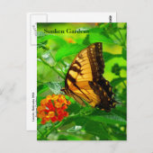 SG Yellow Swallowtail Briefkaart #245N 0245 (Voorkant / Achterkant)