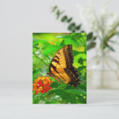 SG Yellow Swallowtail Briefkaart #81N 081 (Staand voorkant)