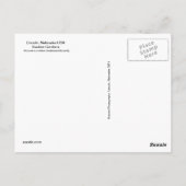 SG Yellow Swallowtail Briefkaart #81N 081 (Achterkant)