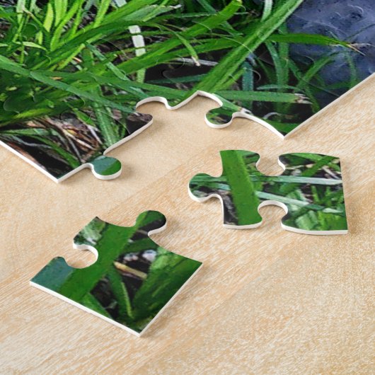 Sgolis Gray Maine Coon Cat Challchallenge Foto Legpuzzel (Zijkant)