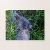 Sgolis Gray Maine Coon Kat Uitdagende Foto Legpuzzel (Horizontaal)