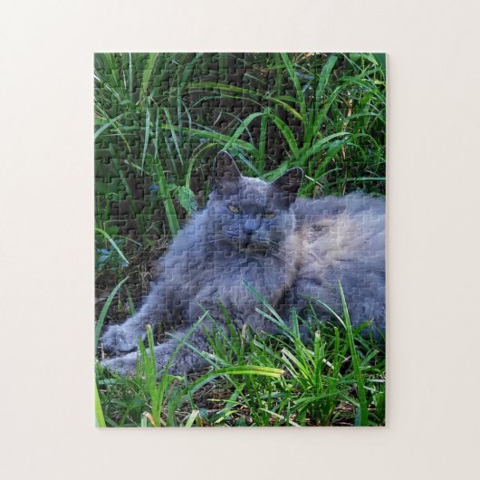 Sgolis Gray Maine Coon Kat Uitdagende Foto Legpuzzel (Verticaal)