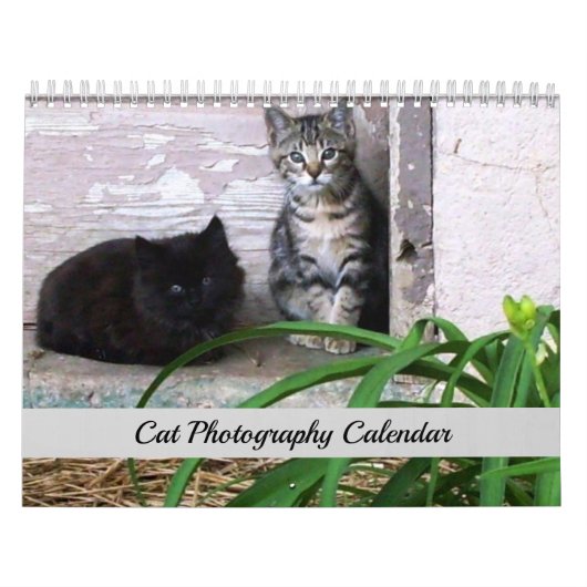 Sgolis Originele Kat Fotografie Agenda Kalender (Hoes)