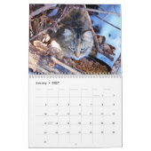 Sgolis Originele Kat Fotografie Agenda Kalender (Jan 2027)