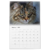 Sgolis Originele Kat Fotografie Agenda Kalender (Feb 2027)