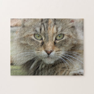 Sgolis Photo Feral Cat Portret moeilijk Legpuzzel