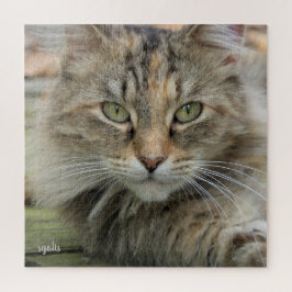 Sgolis Photo Feral Cat Portret moeilijk Legpuzzel