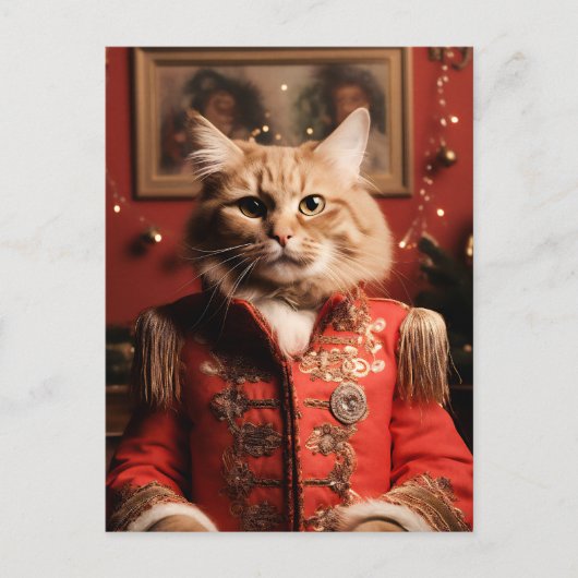 Sgt Pepper Cat Briefkaart (Voorkant)