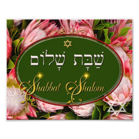 Shabbat Shalom Protea Foto Afdruk (Voorkant)