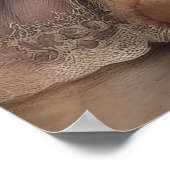 Shabby Chic Antiek Teddy Girl Poster (Hoek)