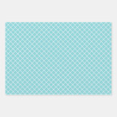 Shabby Chic Blauwgroen Blue Roos Blush Pink Stripe Inpakpapier Vel (Voorkant 3)