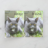 Shabby Chic Kaart (Binnen)