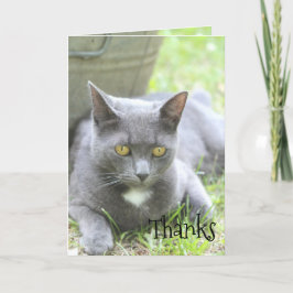 Shabby Chic Kaart