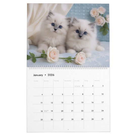 Shabby Chic Kattenkalender 2026 Kalender (Jan 2026)