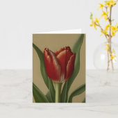 Shabby Chic Lovely Red Tulip Kaart (Gele Bloem)