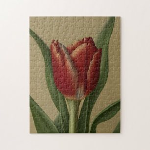 Shabby Chic Lovely Red Tulip Legpuzzel