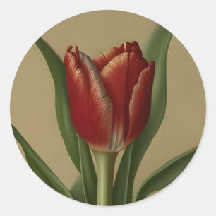 Shabby Chic Lovely Red Tulip Ronde Sticker